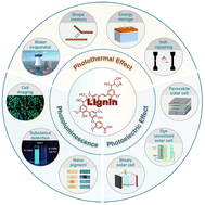 Graphical abstract: The development of lignin towards a natural and sustainable platform for optical materials
