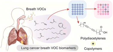 Graphical abstract: Polydiacetylene/copolymer sensors to detect lung cancer breath volatile organic compounds