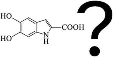 Graphical abstract: Exploring the chemistry and composition of black soldier fly eumelanin, a material for a circular economy
