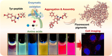 Graphical abstract: Full-color peptide-based fluorescent nanomaterials assembled under the control of amino acid doping