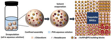 Graphical abstract: Effect of the number ratio and size ratio on the formation of binary superlattices assembled from polymer-tethered spherical nanoparticles of two sizes