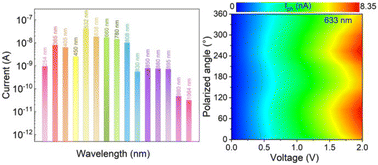 Graphical abstract: A high-performance broadband polarization-sensitive photodetector based on BiSeS nanowires