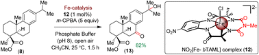 Graphical abstract: Total synthesis of naturally occurring abietane diterpenoids via a late-stage Fe(iii)-bTAML catalysed Csp3–H functionalization