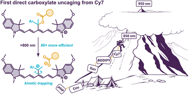 Graphical abstract: Surfing the limits of cyanine photocages one step at a time