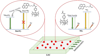 Graphical abstract: Comparing a covalently linked BODIPY–pyrene system versus the corresponding physical mixture as chromophores in luminescent solar concentrators