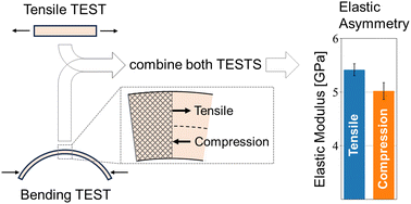 Graphical abstract: Bending of polymer films: a method for obtaining a compressive modulus of thin films