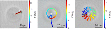 Graphical abstract: Light-controllable liquid crystal platform for microparticle oscillations and transport