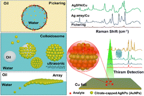 Graphical abstract: Hierarchical structures of surface-accessible plasmonic gold and silver nanoparticles for SERS detection