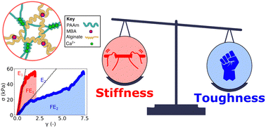 Graphical abstract: Addressing the stiffness–toughness conflict in hybrid double-network hydrogels through a design of experiments approach