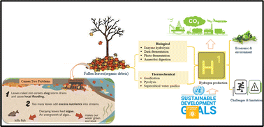 Graphical abstract: Fallen leaves to sustainable energy solution: review on hydrogen production