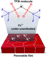 Graphical abstract: Influence of TFSI post-treatment on surface doping and passivation of lead halide perovskites