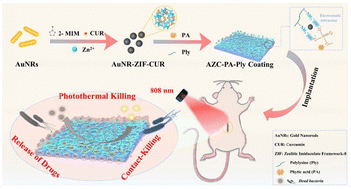 Graphical abstract: Chemo-photothermal therapy of bacterial infections using metal–organic framework-integrated polymeric network coatings