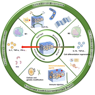 Graphical abstract: Exogenous MSC based tissue regeneration: a review of immuno-protection strategies from biomaterial scaffolds