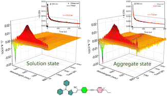 Graphical abstract: Study of transient absorption spectroscopy of a D–π–A structure aggregation-induced emission luminogen and its photodynamic therapy application