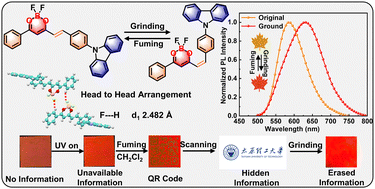 Graphical abstract: C [[double bond, length as m-dash]] C bond enables difluorideboron β-diketonate derivatives with high contrast mechanoresponsive luminescence for reversible writing and information encryption