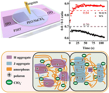 Graphical abstract: Enhancing ion doping and charge transport in polymer electrochemical transistors through poly(3-hexylthiophene) nanowire integration