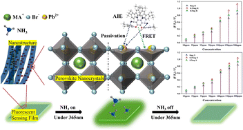 Graphical abstract: Enhanced ammonia sensing with the MAPbBr3 perovskite and (R/S)-OBN-tCz: a study on sensitivity and stability improvements