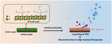 Graphical abstract: Triethanolamine-assisted surface reconstruction of nickel oxide for efficient oxygen evolution reaction