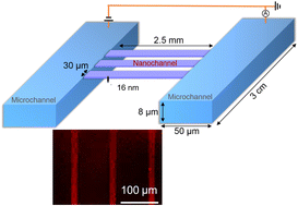 Graphical abstract: Surface charge regulation mediates anomalous ion transport in silica nanochannels