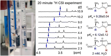Graphical abstract: Programmable wide-range pH gradients for NMR titrations: application to antibody–drug conjugate linker group modifications