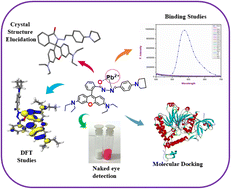 Graphical abstract: Rhodamine-based turn-on fluorescent and colorimetric chemosensor for selective Pb2+ detection: insights from crystal structure, molecular docking, real sample analysis, and logic gate applications