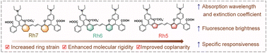 Graphical abstract: Designing small organic molecular NIR-II fluorophores by ring strain modulation