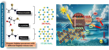 Graphical abstract: Facile synthesis of mixed phase 1T/2H-MoS2 heterostructured nanosheets with a highly efficient solar light-driven photocatalyst and recyclable adsorbent