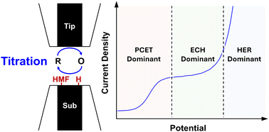 Graphical abstract: Mechanistic understanding of electrochemical hydrogenation of 5-hydroxymethylfurfural (HMF) via scanning electrochemical microscopy (SECM)