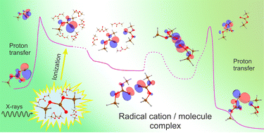 Graphical abstract: Primary radical ions in irradiated carbonates