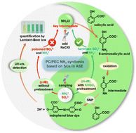 Graphical abstract: Modified indophenol blue method enables reliable routine quantification of photocatalytically produced ammonia in aqueous sulfite electrolyte