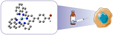Graphical abstract: Functionalization of a Ru(ii) polypyridine complex with an aldehyde group as a synthetic precursor for photodynamic therapy