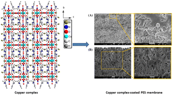 Graphical abstract: Synthesis and characterization of a novel copper carboxylate complex and a copper complex-coated polyether sulfone membrane for the efficient degradation of methylene blue dye under UV irradiation: single crystal X-ray structure of the copper carboxylate complex
