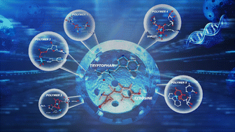 Graphical abstract: Structural diversity of nucleotide coordination polymers of cytidine mono-, di-, and tri-phosphates and their selective recognition of tryptophan and tyrosine
