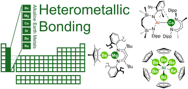 Graphical abstract: Alkaline earth metals: heterometallic bonding