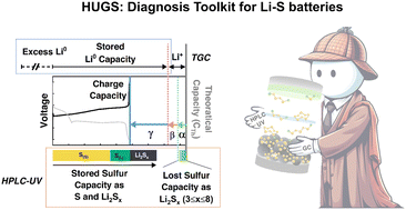 Graphical abstract: Quantitative insights for diagnosing performance bottlenecks in lithium–sulfur batteries