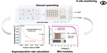 Graphical abstract: Balancing the supersaturation rate and coordination capability for upscaling high-performance perovskite photovoltaics