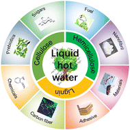 Graphical abstract: Evoking research attention back on liquid hot water pretreatment: a comprehensive review
