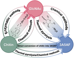 Graphical abstract: Sustainable routes for the synthesis of a nitrogen-containing furan derivative, 3-acetamido-5-acetylfuran