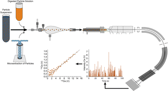 Graphical abstract: Particle signal considerations for isotope ratio analysis with single particle multi-collector inductively coupled plasma mass spectrometry