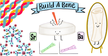 Graphical abstract: Build-a-bone: development of a matrix-matched reference material for quantitative analysis of bone with portable LIBS
