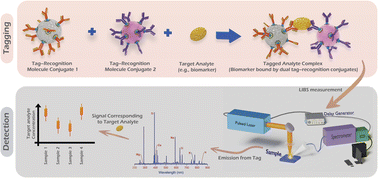 Graphical abstract: Tag-laser induced breakdown spectroscopy (Tag-LIBS): progress and prospects
