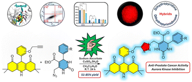 Graphical abstract: Design, synthesis and evaluation of fluorescent dihydropyridine–dihydropyrimidinone hybrids as inducers of cell-cycle arrest in a prostate cancer cell line via Aurora kinase interactions