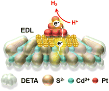 Graphical abstract: Structural amine-induced interfacial electrical double layers for efficient photocatalytic H2 evolution