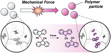 Graphical abstract: Mechanochromic polymer particles crosslinked by a radical-type mechanochromophore