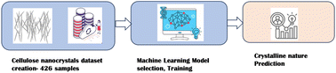 Graphical abstract: Machine learning assisted preparation of highly crystalline cellulose nanocrystals: lessons from cellulose sources and reaction conditions