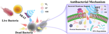 Graphical abstract: A nanocatalytic membrane with sono-responsive antibacterial therapy (SRAT) for rapid sterilization and enhanced chronic wound healing