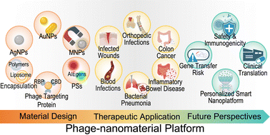 Graphical abstract: Phage–nanomaterial platforms for precision antimicrobial therapy: from design to therapeutic application