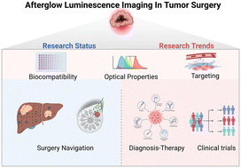 Graphical abstract: Clinical translation of afterglow luminescence imaging in precision surgery of tumors: opportunities and challenges