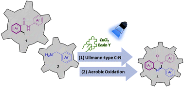Graphical abstract: Visible-light-driven copper(ii) catalysis for 2,3-disubstituted quinazolinone synthesis via Ullmann N-arylation and C–H oxidative amidation