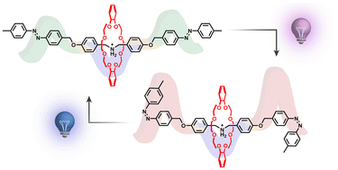 Graphical abstract: Light-driven molecular pumps: entanglement of thermodynamic and kinetic effects in the photocontrolled threading–unthreading of pseudorotaxanes